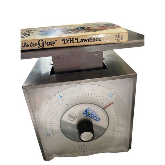 The Virgin And The Gipsy Paperback Book DH Lawrence Novel - Picture 12 of 12